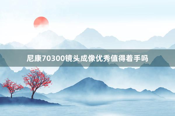 尼康70300镜头成像优秀值得着手吗